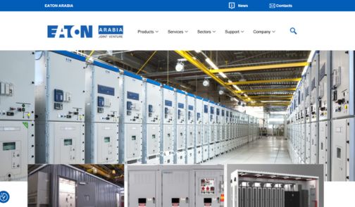 Website design project